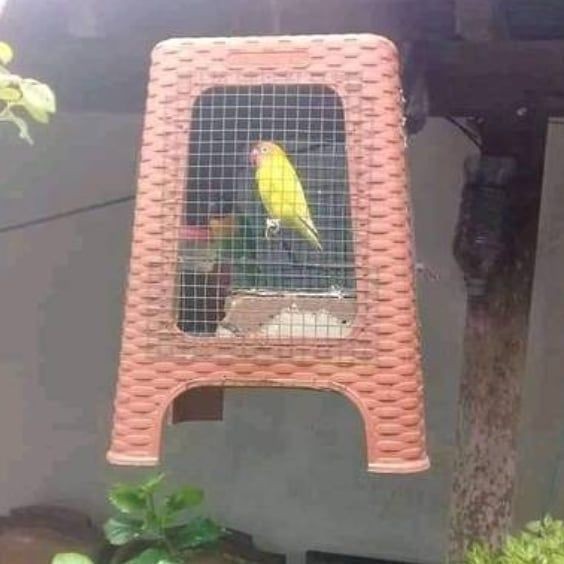 Kandang hewan yang bikin ngakak dan unik